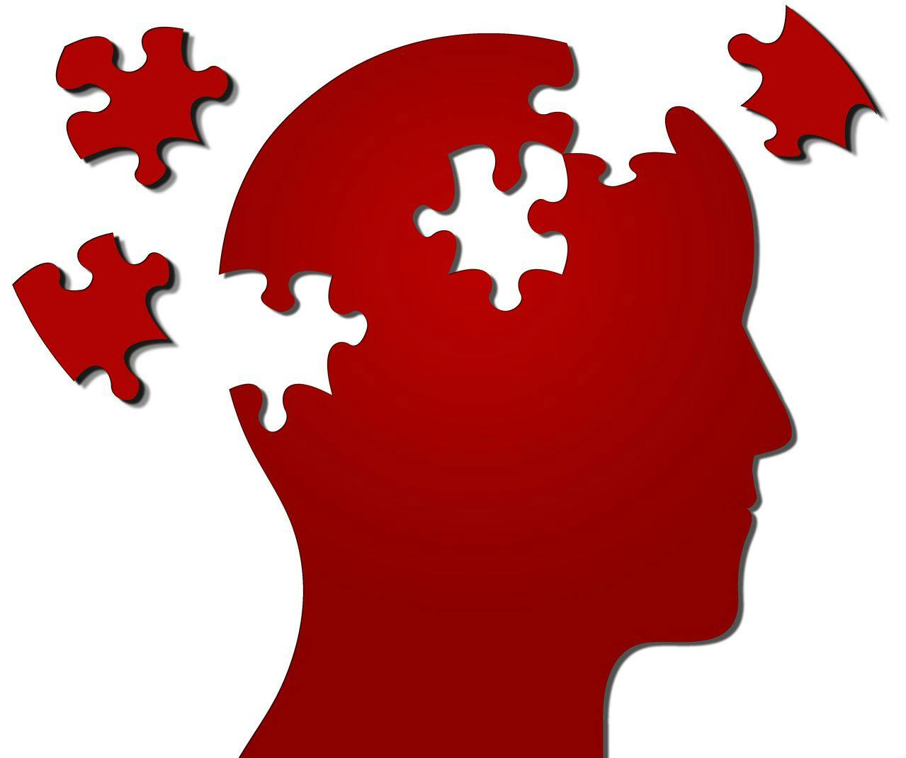 Puzzle pieces representing the brain.